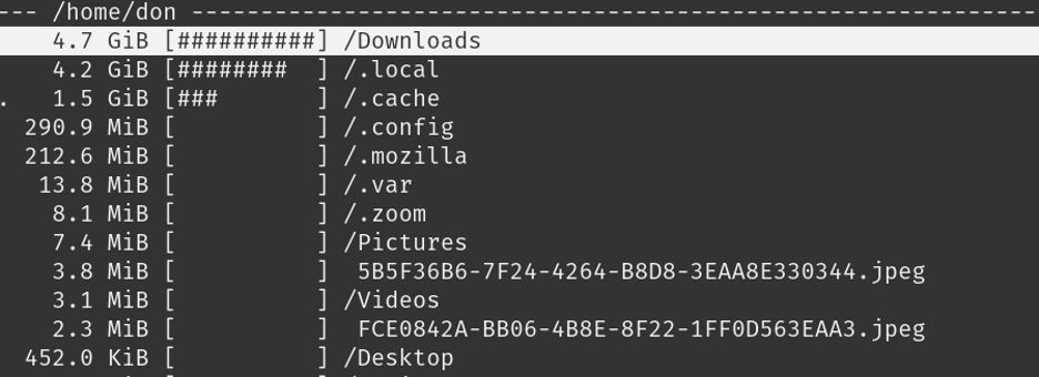 du command home directory output