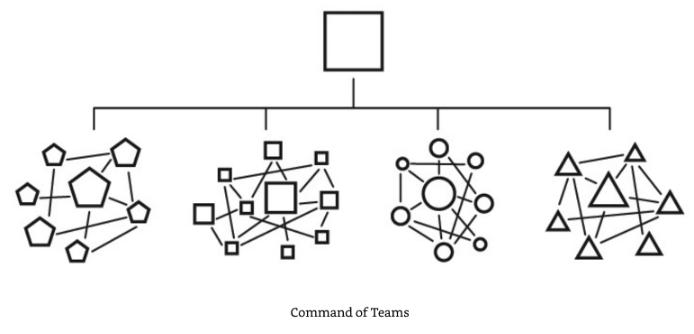 Command of teams organizational chart