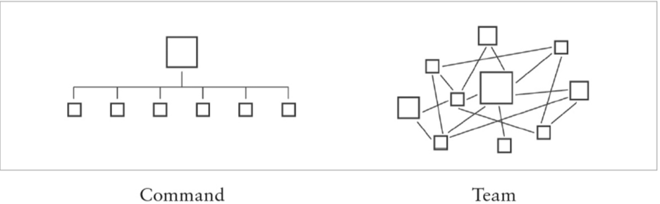 Command organizational chart versus team organizational chart