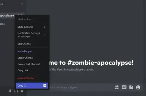 MATRIX Creator Discord App 