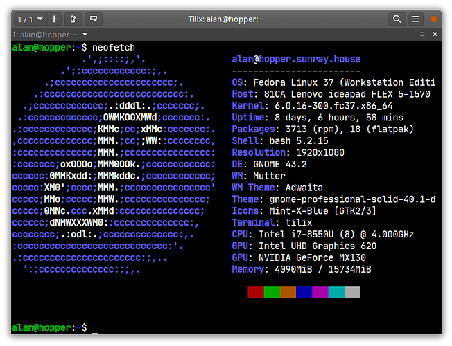 Black terminal with blue text