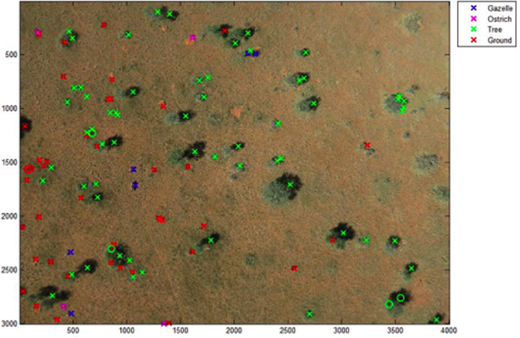 Aerial image for wildlife reserve