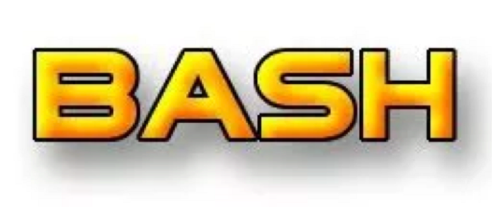 Previous BASH logo,