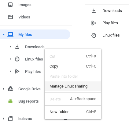 Chrome OS Manage Linux sharing interface