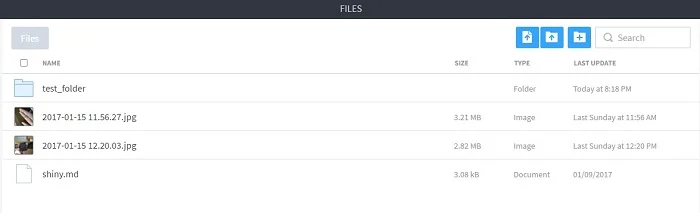 File Manager Interface