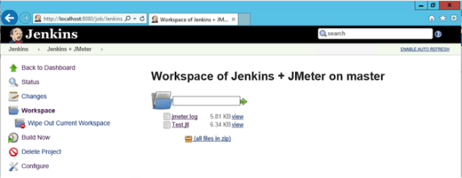 JMeter log file and .jtl file.