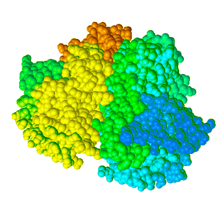 Nitrate Reductase space filling model.