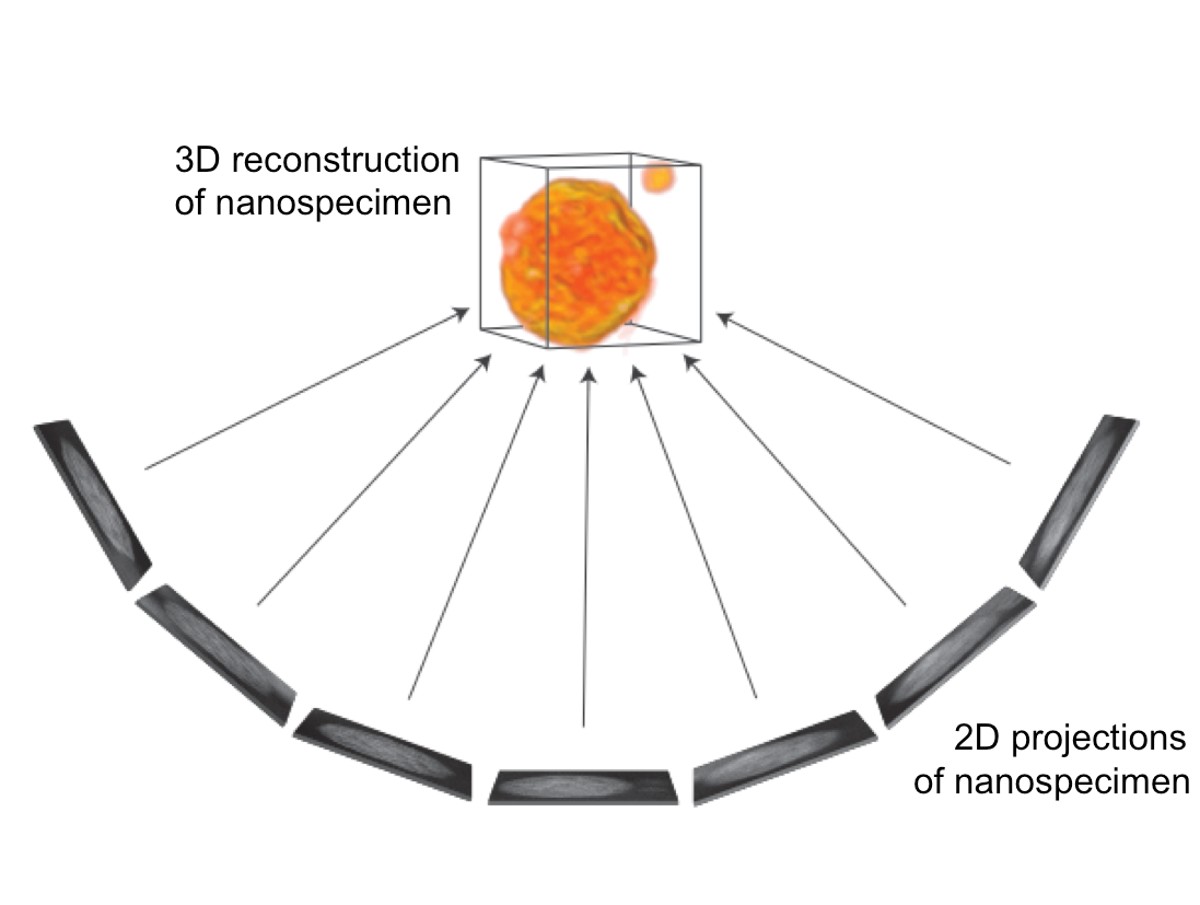 Electron tomography graph