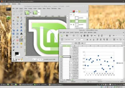 GIMP and LibreCalc on Cinnamon