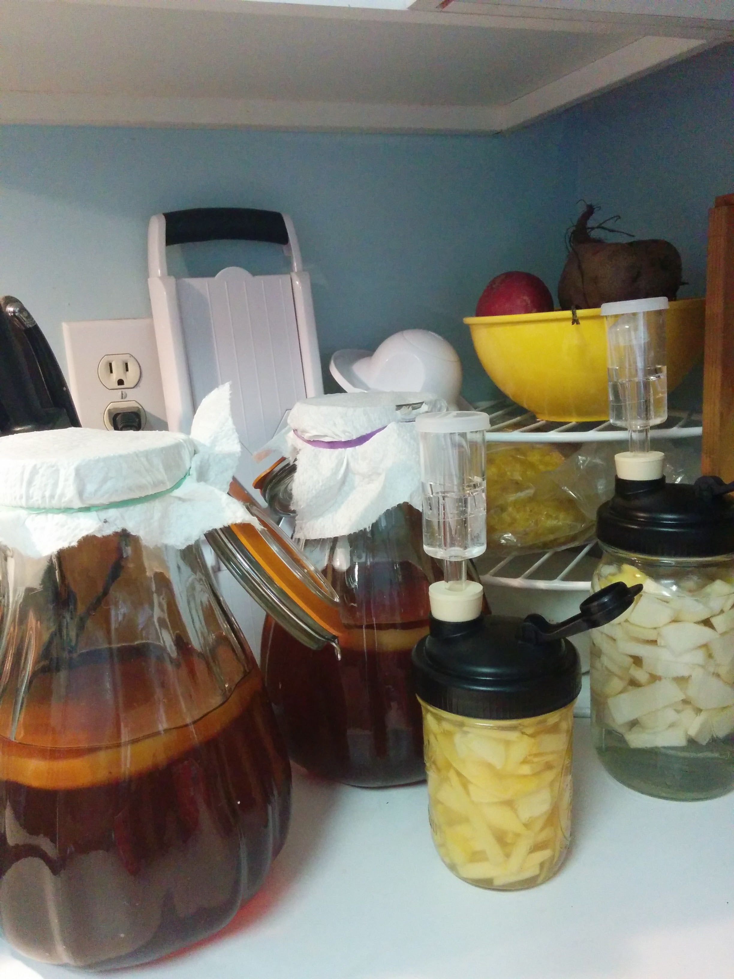 kombucha jars and other fermentations