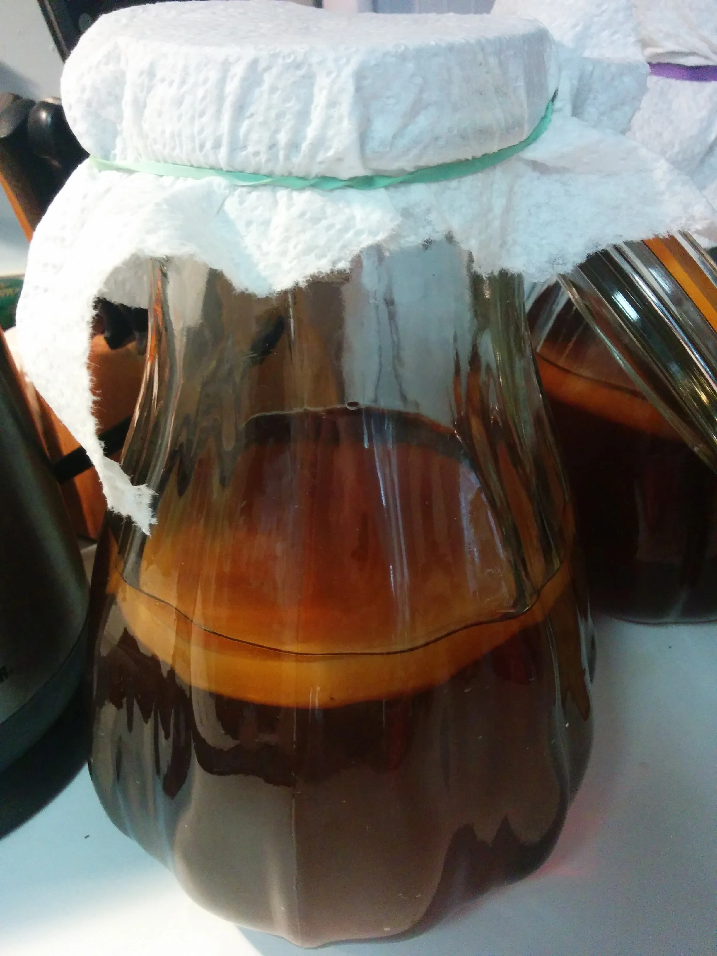 Kombucha tea with SCOBY