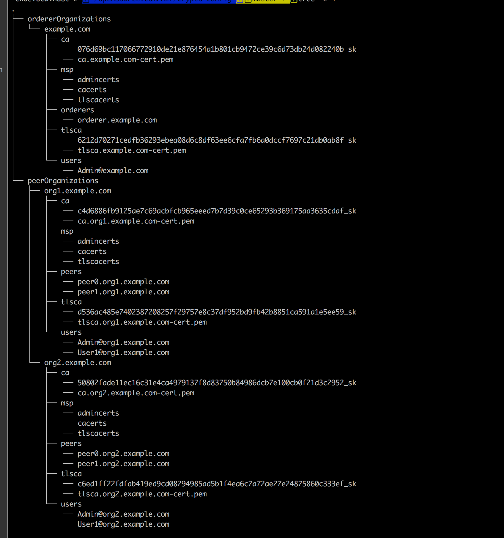 npm config set ca