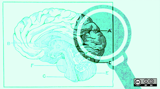 a magnifying glass looking at a brain illustration