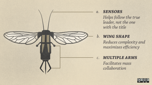 The Dronecode Foundation aims to keep UAVs open Opensource