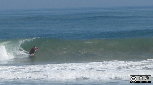 Surfing the open data wave
