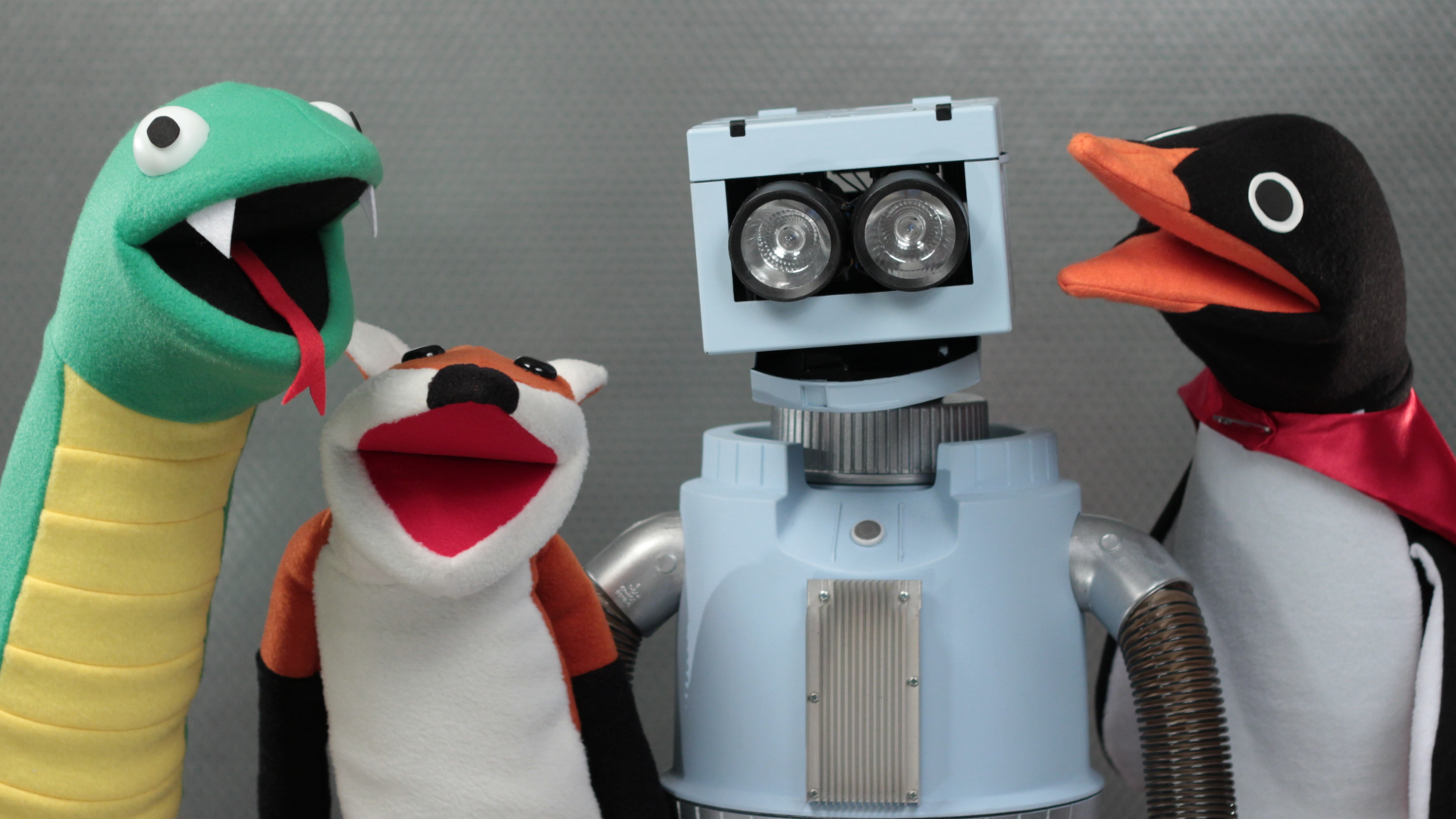 Puppets: a penguin, a snake, a robot, and a fox