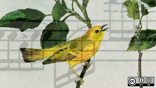 Bird singing and music notes
