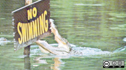 No swimming sign with alligator biting it 