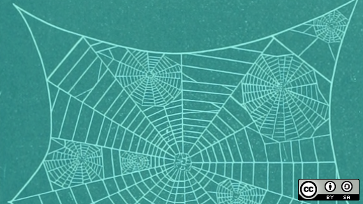 spider web