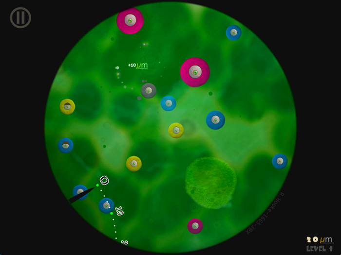Little Cells game screenshot