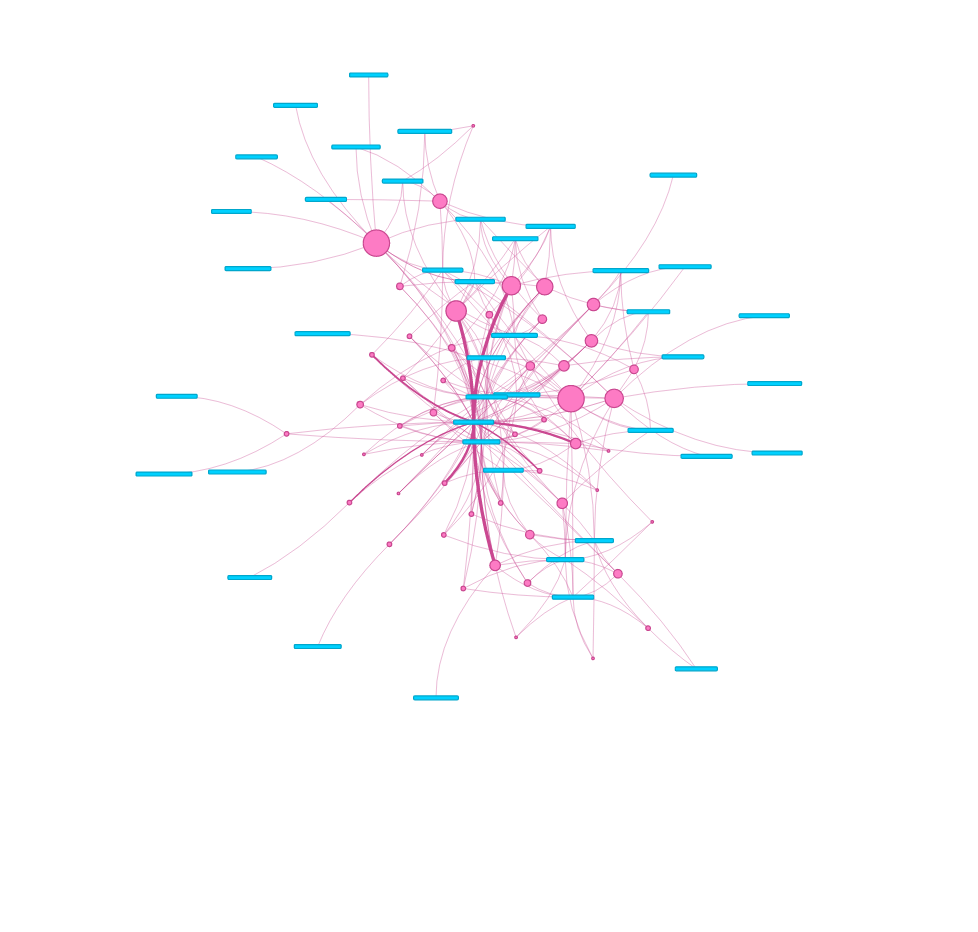 Python Interpreter Social network