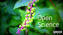 Open science plant and blossom