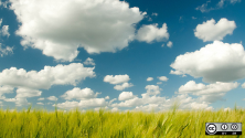 Sky with clouds and grass