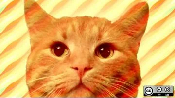 Unleashed: Open source tech for pets and animals