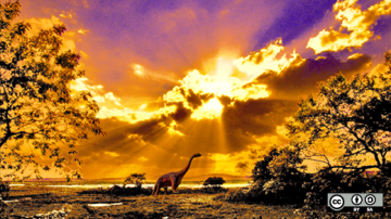 Dinosaurs on land at sunset