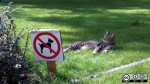 Cat laying in the grass next to a not animals allowd sign