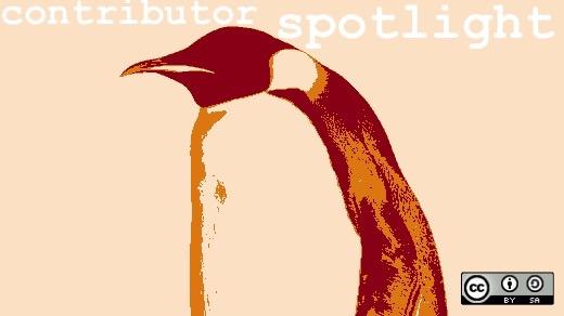 Penguin, stylized, contributor spotlight