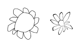 Sunflower turned into a daisy with r -> r cubed