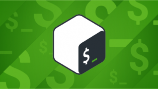 bash logo on green background