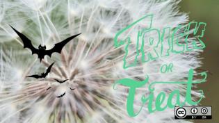 Trick or treat - bats flying on a dandelion