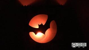 Halloween - backlit bat flying