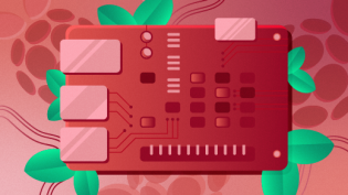 Vector, generic Raspberry Pi board