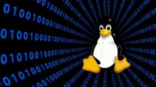 Tux with binary code background