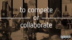 To compete or collaborate
