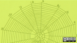 spiderweb diagram