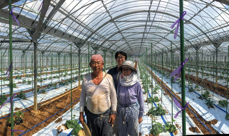 Makoto Koike with his parents at the family cucumber farm