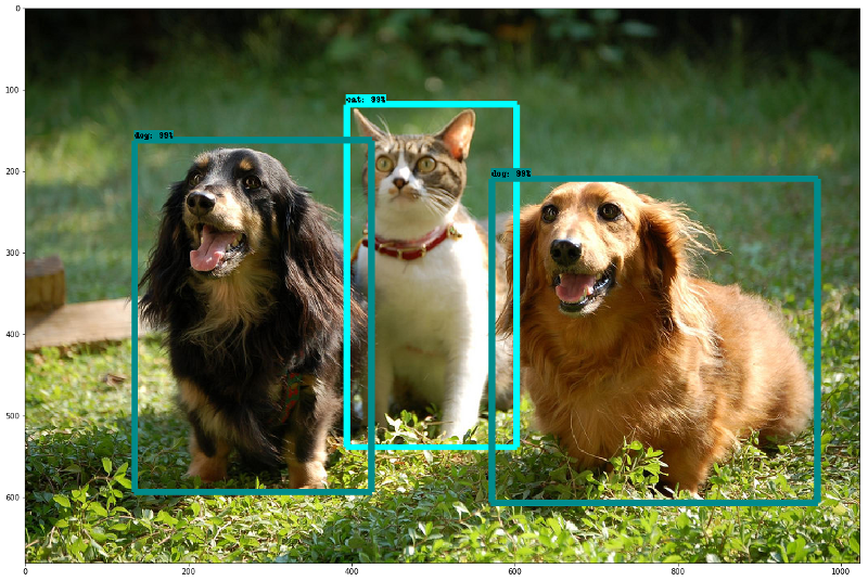 The out-of-the-box Object Detection model