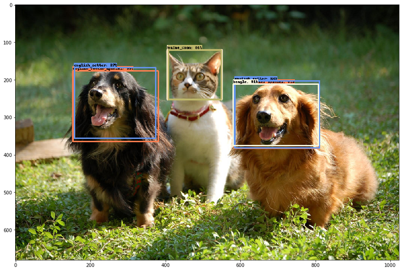 The "pet detector" model, trained via transfer learning.