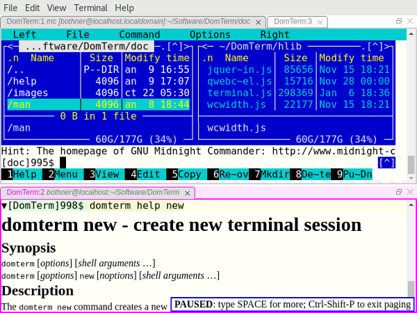 DomTerminal terminal emulator