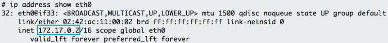 ip address shows that the IP address of eth0 is 172.17.0.2