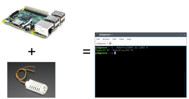 Raspberry Pi, sensor, and Python code