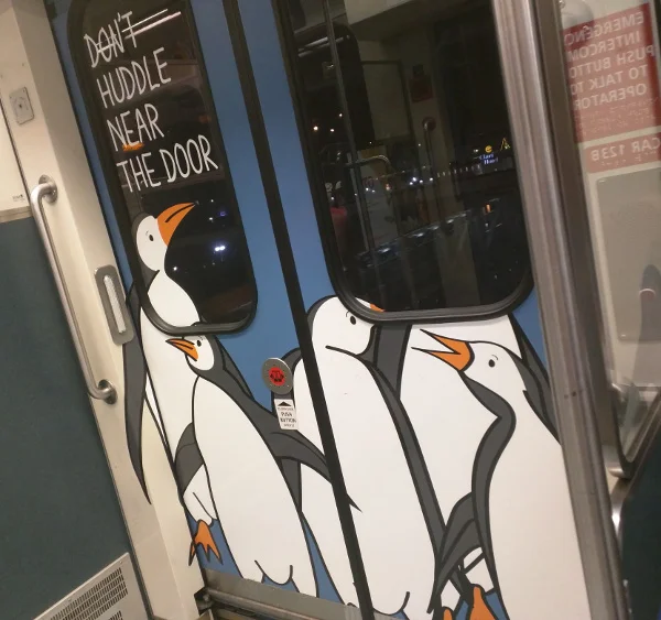 Penguins on the train