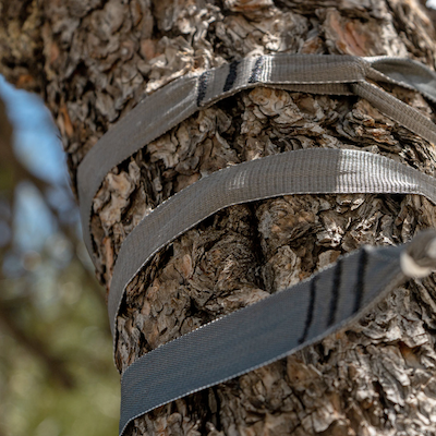 Open source tree straps from Hummingbird Hammocks.