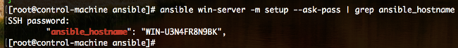 Ansible hostname result