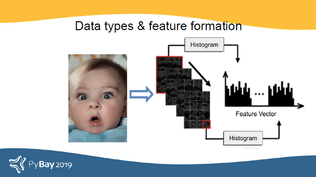 Data types and feature formation in images