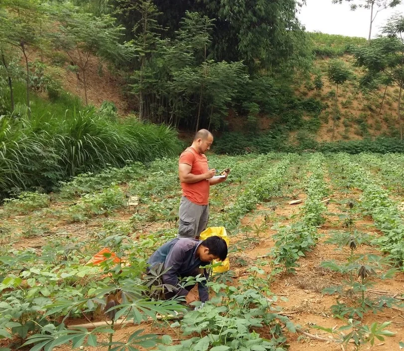 Collecting soil samples